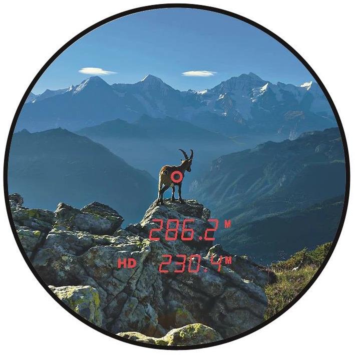 Actual product image Steiner Ranger (10x, 42 mm)