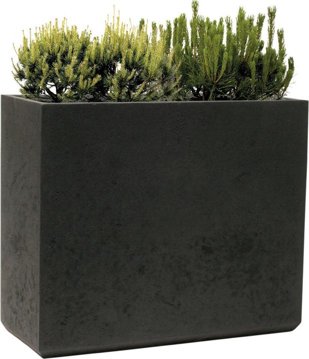 Produktbild Kirschke Rockline (25 cm)