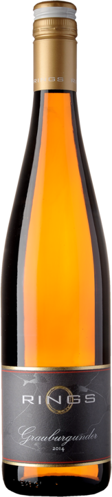Actual product image Weingut Rings Grauburgunder (1 x 75 cl, 2022)