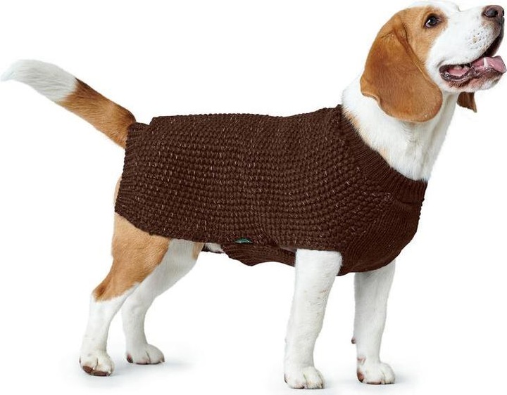 Immagine prodotto Hunter Cane maglione Finja (65, Maglione per cani)