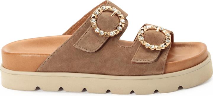 Cammello, Talpa, Taupe camoscio