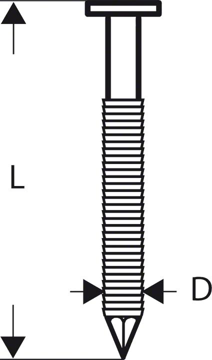 Actual product image Bosch Professional Zubehör Round-headed strip nail SN21RK 65RHG 2.8 mm, 65 mm, hot-dip galvanised, grooved