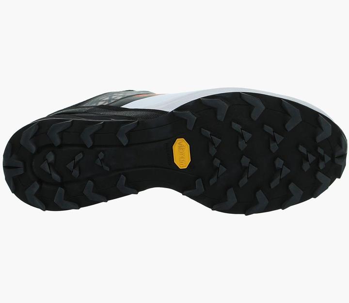 Actual product image Dynafit Alpine DNA running shoe (48.5)