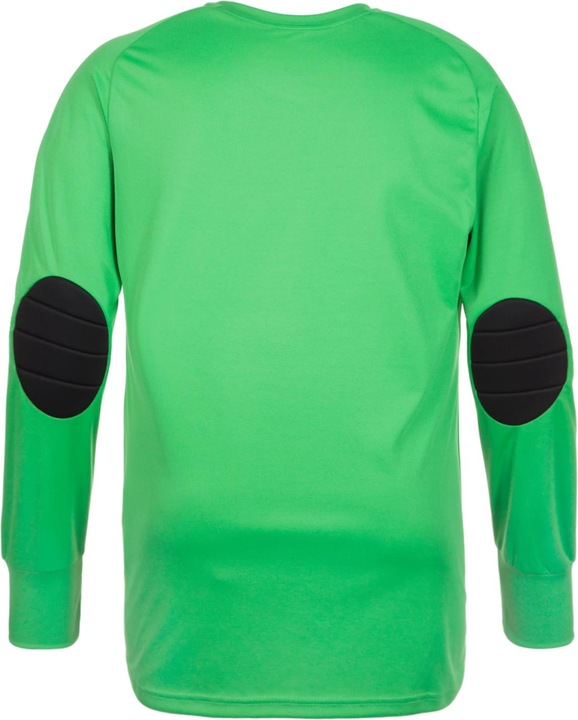 Actual product image adidas Assita 17 Goalkeeper (116)