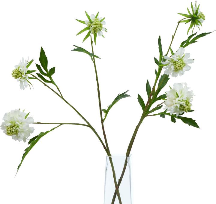 Actual product image Hill Interiors The Natural Garden Collection Scabious Stem Artificial Plant (65 cm)