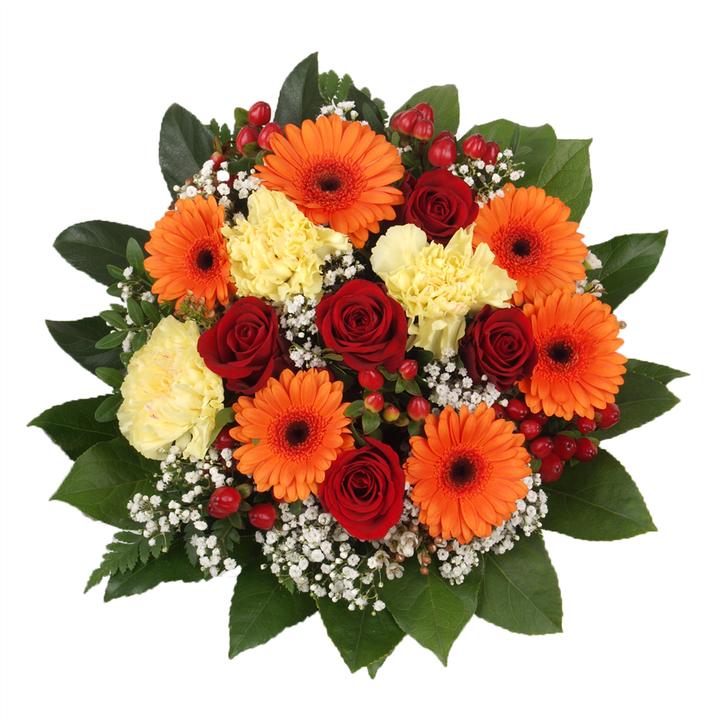 Image du produit Floramall Colourflash (Fleurs coupées)