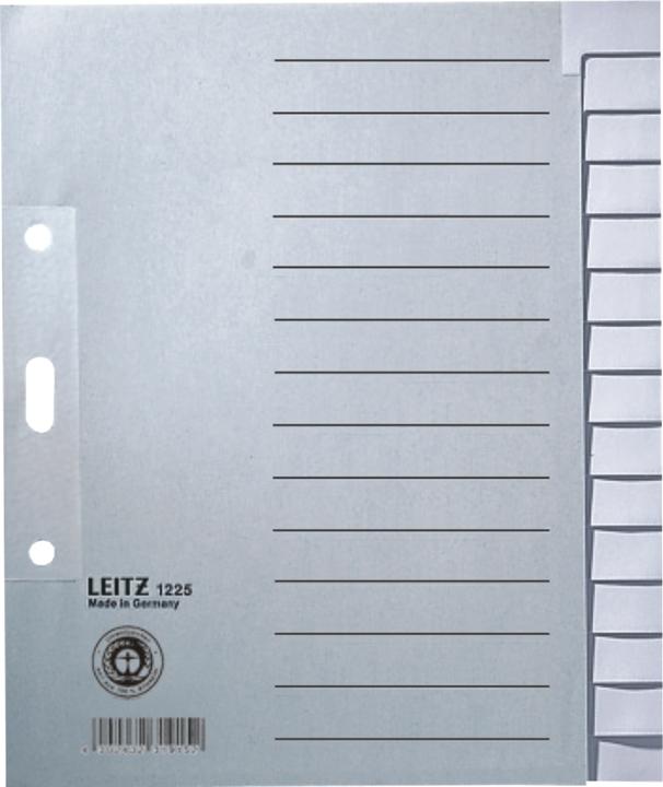 Actual product image Leitz Register paper