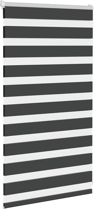 Produktbild vidaXL Zebra-Jalousie (90 x 100 cm)