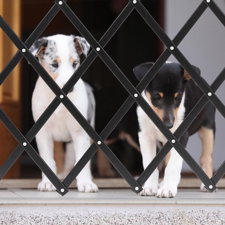 Immagine prodotto Relaxdays Barriera per cani (Gabbia per cani)