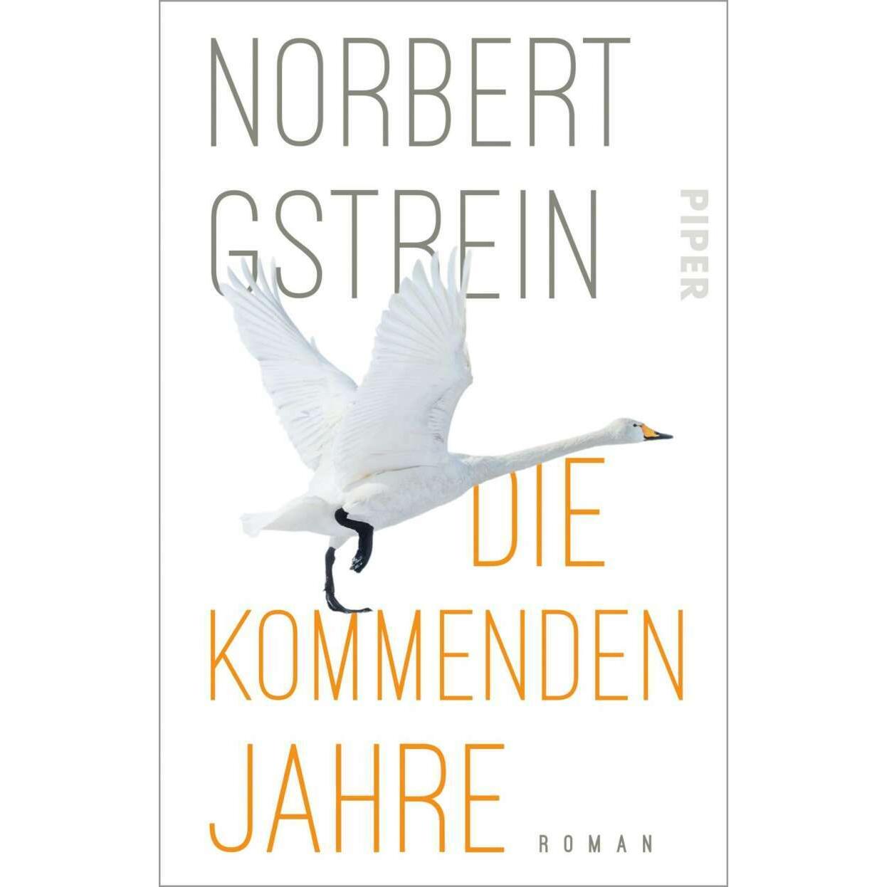 Die kommenden Jahre, Belletristik von Norbert Gstrein