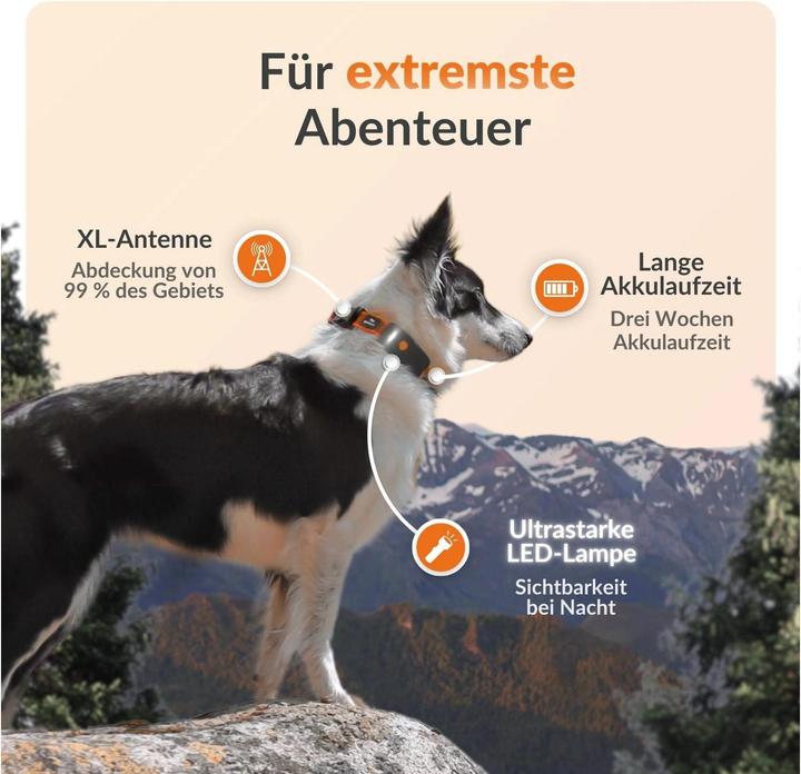Image du produit Weenect Traceur GPS (XL, Chien, Général)