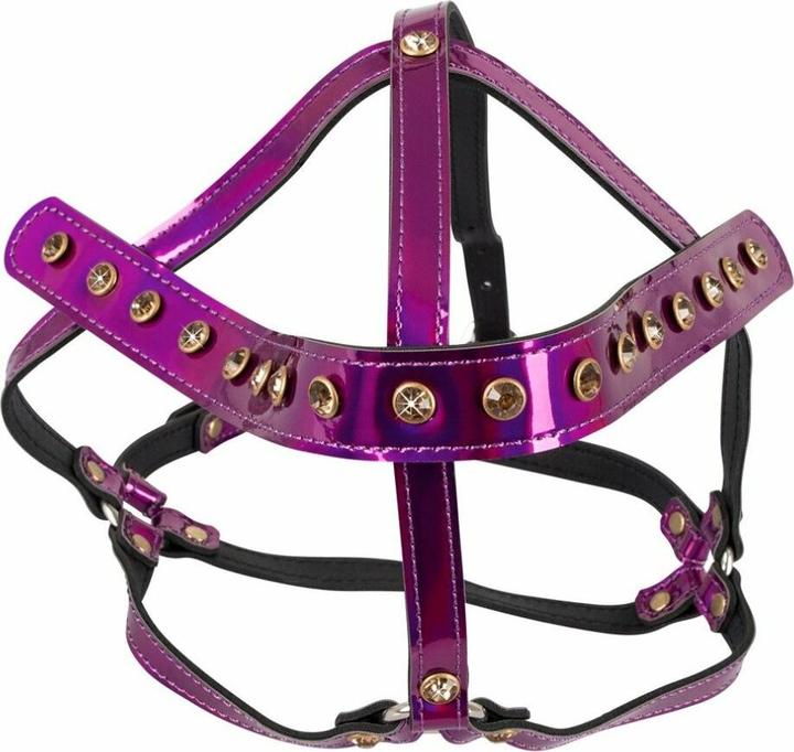 Actual product image Bad Kitty Head harness