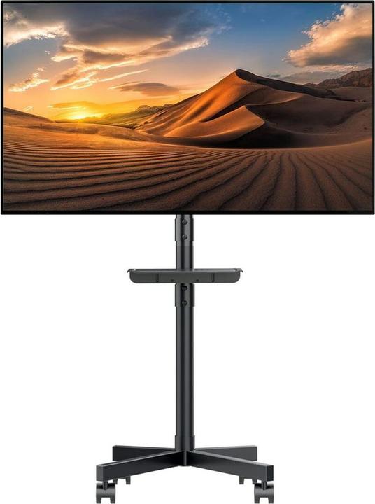 Actual product image Maclean MC-949 (55", 25 kg)