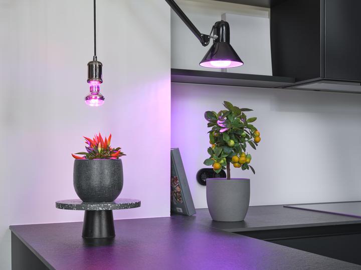 Actual product image Osram HOMELIGHTING 4058075845800 Pflanzenlampe E27 20 W 1 St. (LED, 220 V)