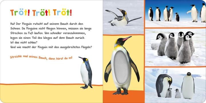 Immagine prodotto Senti, chi può essere? In inverno (Tedesco)