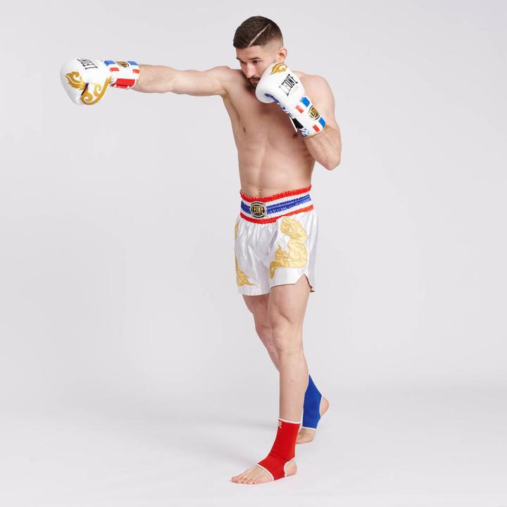 Image du produit Leone Boxhandschuhe THAI STYLE (12 OZ, Taille unique)