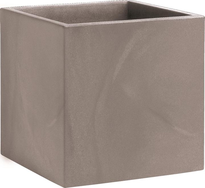 Giarnaldo Momus Cubo (35 cm)