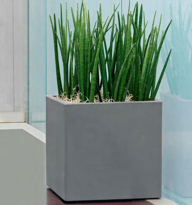 Image du produit Giarnaldo Momus Cubo (35 cm)