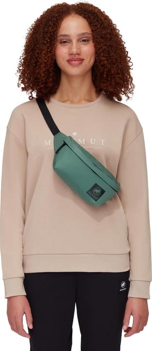 Actual product image Mammut Xeron Classic Waistpack
