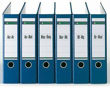 Actual product image Leitz Register paper gray