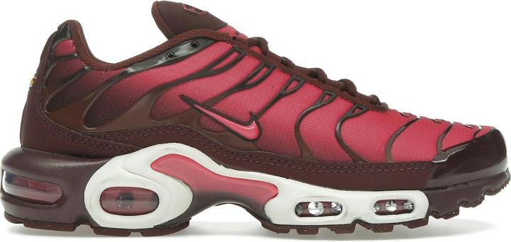 Aster Pink, Burgundy Crush