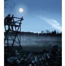 Produktbild Steiner Nighthunter (8 x, 56 mm)