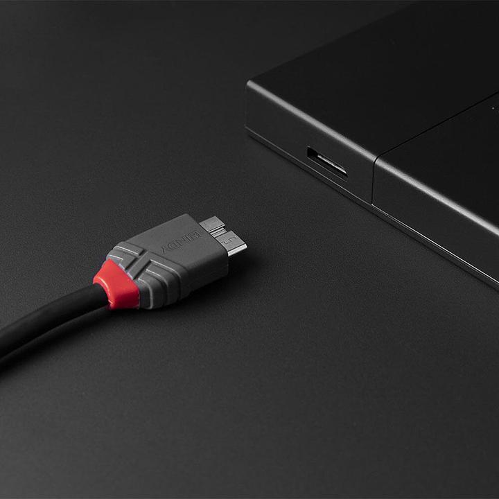 Actual product image Lindy USB 3.2 Type C to Micro-B Cable, Anthra Line (3 m)