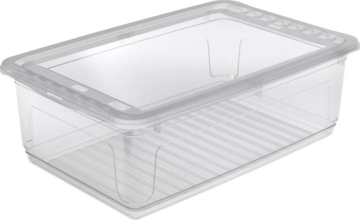 Immagine prodotto HomeZone Multibox 30L con coperchio Bea (59 x 39 x 18 cm, 30 l)