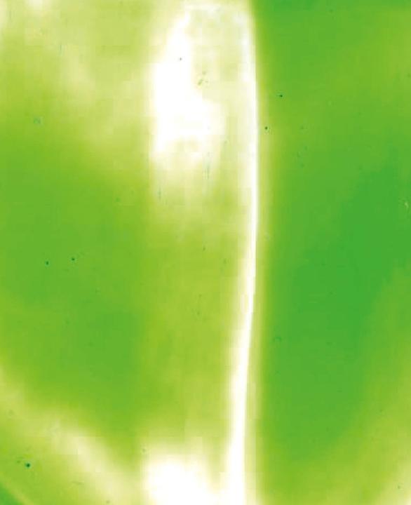 Actual product image Hobbyring Encaustic wax blocks set of 16, yellow green