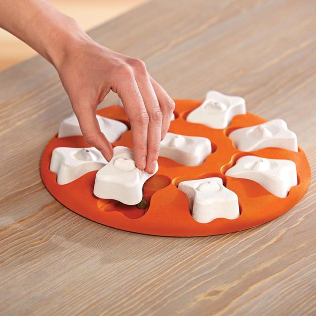 Image du produit Nina Ottosson Dog Smart (Jouet intelligent chien)