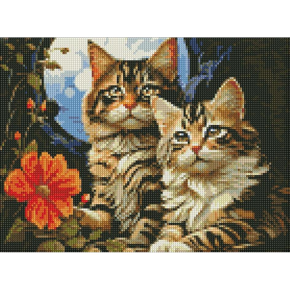 Ideyka Diamond Painting - Katzen mit Rahmen 30 x 40 cm