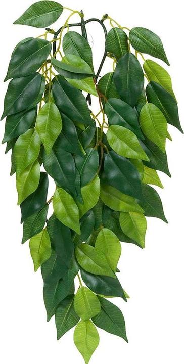 Productafbeelding Exo Terra Jungleplant Fikus M