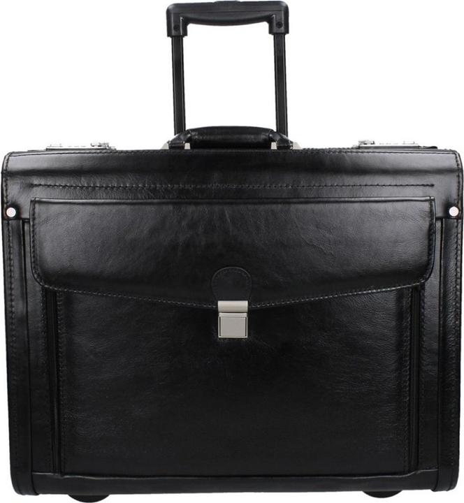 Actual product image Dermata were pilot case 45.5cm from vegatabile full cowhide (37 l)