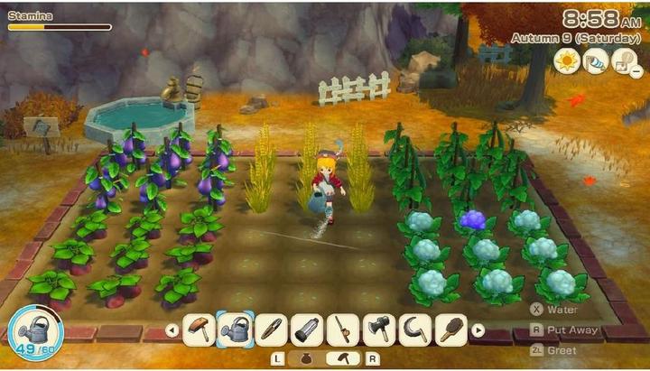 Actual product image Marvelous Story of Seasons: Grand Bazaar NSW2 (Switch 2, DE)