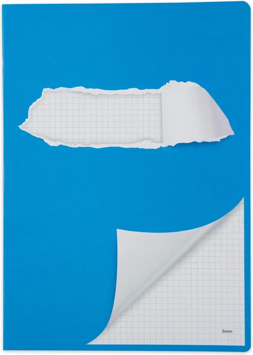 Immagine prodotto Elco Libro degli esercizi (A4, Quadretti, Copertina morbida)