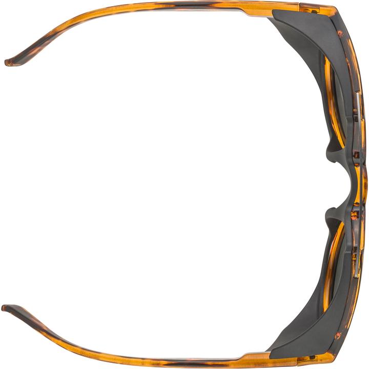 Image du produit ALPINA SPORTS Glace P