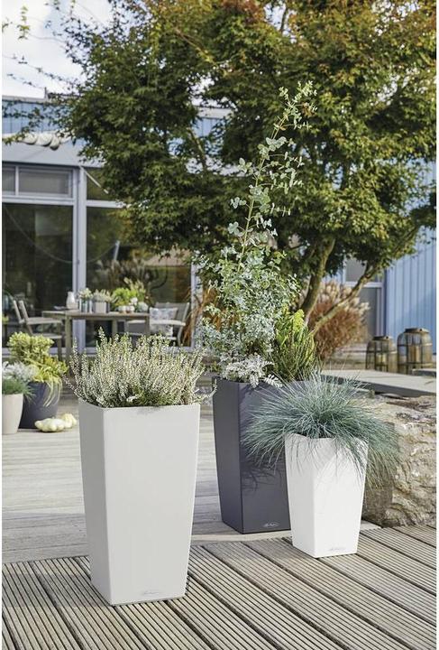 Produktbild Lechuza Cubico Color (29.50 cm)