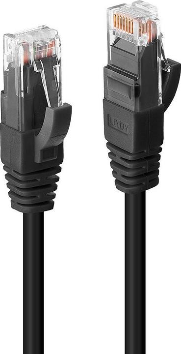 Actual product image Lindy Network cable (UTP, CAT6, 0.30 m)