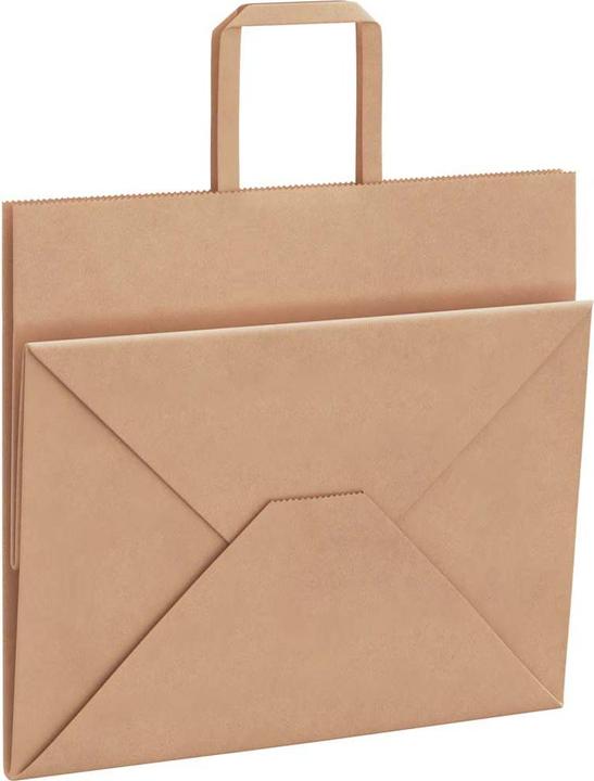 Produktbild vidaXL Papiertragetasche (250x)