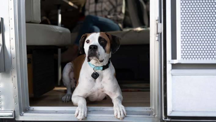 Productafbeelding Tile Mate (2022) - 1 pak (Android, iOS)