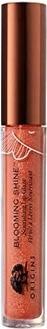 Produktbild Origins Blooming Shine Nourishing Lip Glaze in Honey Bloom - Unboxed