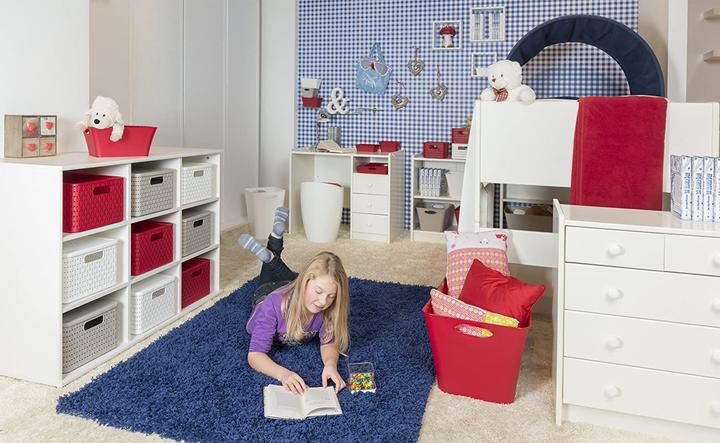 Image du produit Rotho Livingbox (39.5 x 31 x 52.5 cm, 44 l)