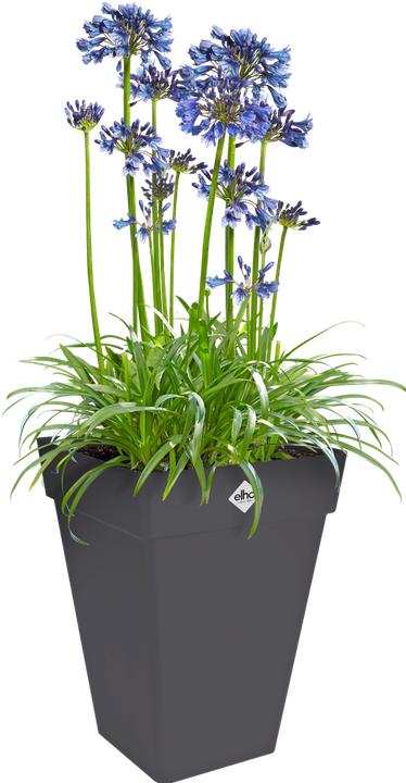 Produktbild Elho Loft Urban Eckig Hoch (37 cm)