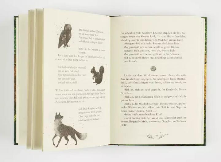 Actual product image Planet Ein Mädchen namens Willow 2: Waldgeflüster (German, Simona Ceccarelli, Sabine Bohlmann, 2021)