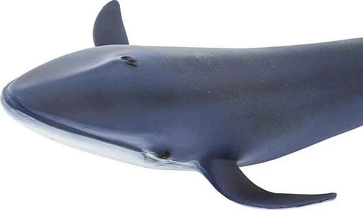 Image du produit Safari Baleine bleue