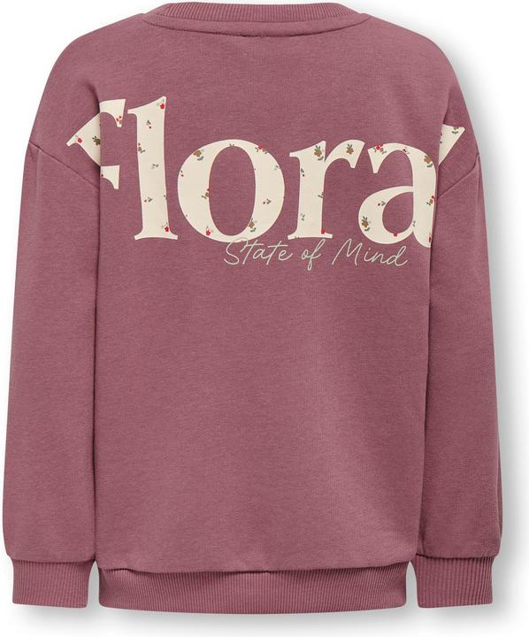 Image du produit Only Kmggeorgia Life Ls Print Ub Swt Noos (122)