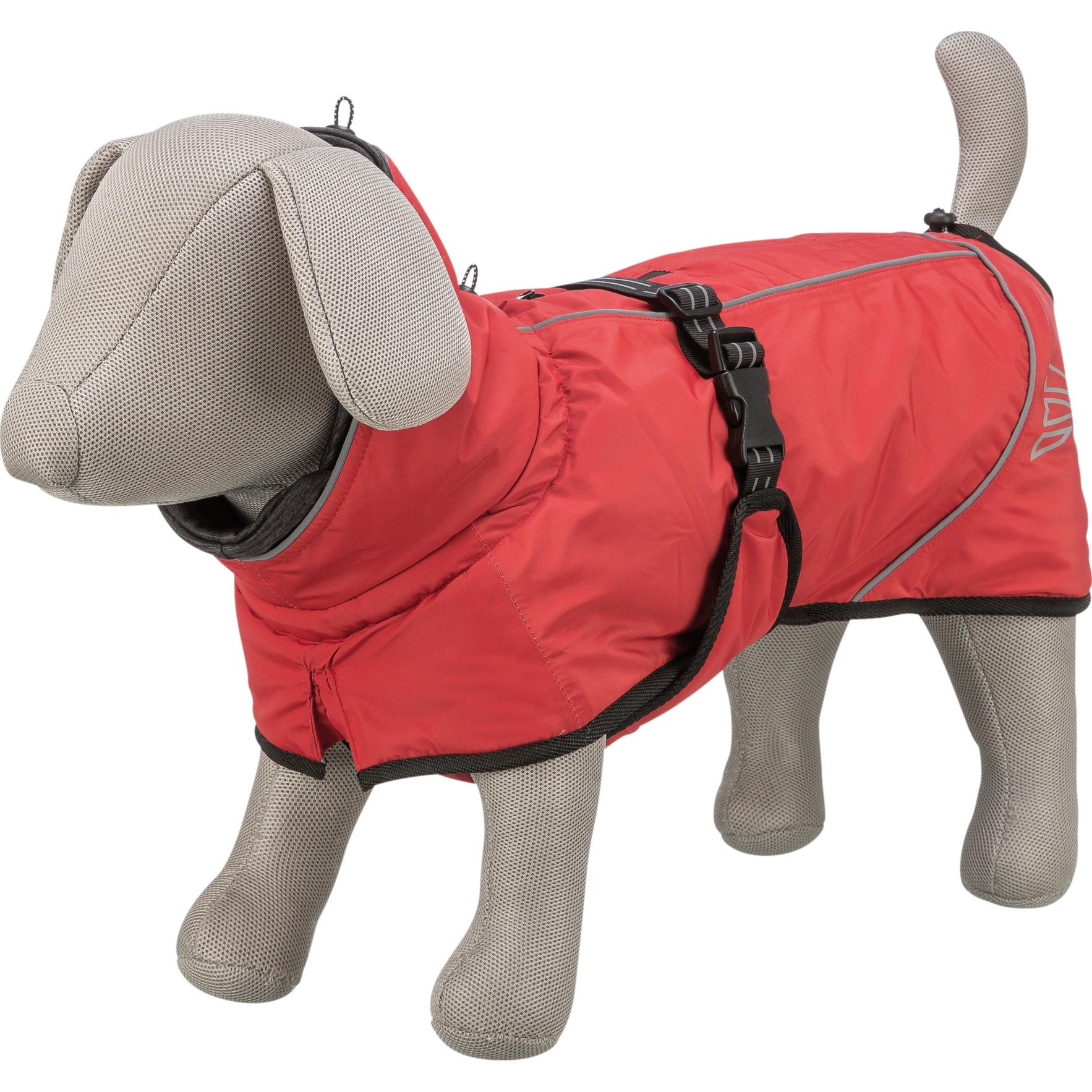 Manteau d’hiver Trixie Explore Thermo pour chien taille XS - longueur du dos : environ 30 cm