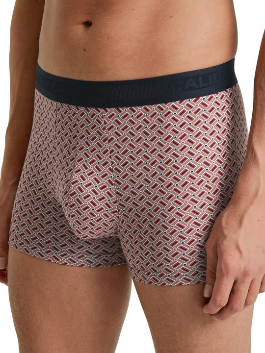 Immagine prodotto Calida Focus (M, Confezione singola)