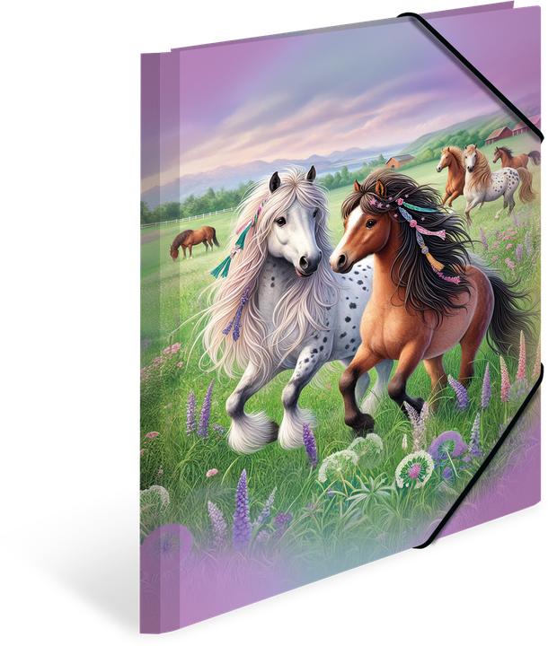 Produktbild HERMA Sammelmappe A4 Motiv (A4, 1x)