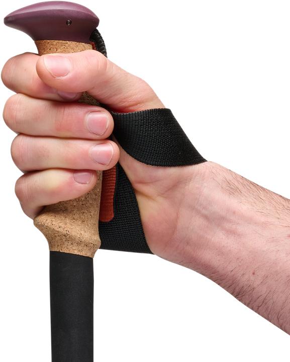 Actual product image Black Diamond Trekkingst?cke Trail Cork (anthrazit/orange, 1 Paar, 100-140 cm) (100 - 140 cm)